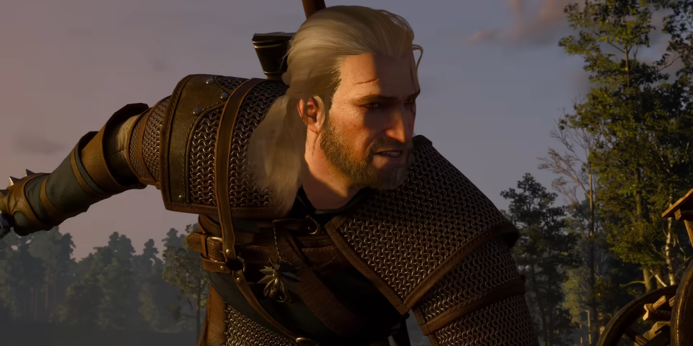  The Witcher Series