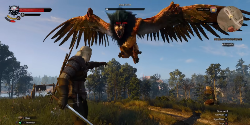  The Witcher Series